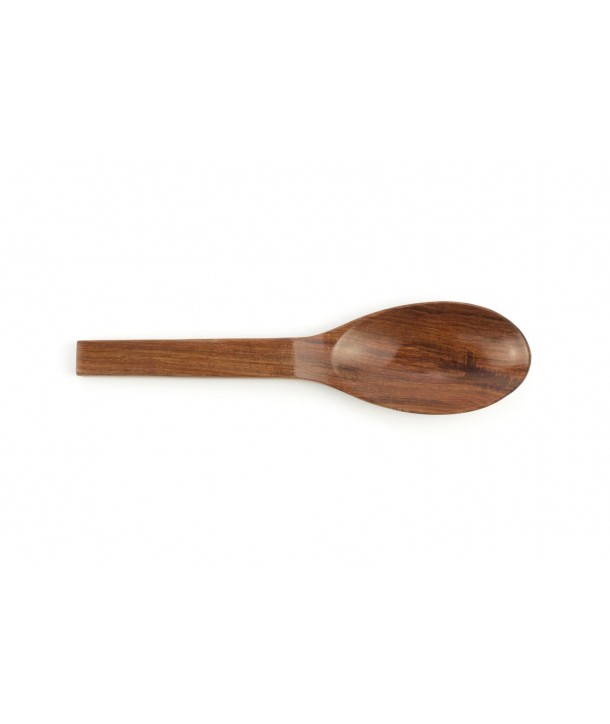 Big oval wooden spoon