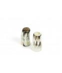 Salt and pepper shaker in blond horn