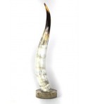 Corne blonde marbrée sur socle