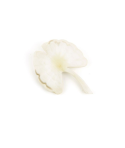 Broche gingko en corne blonde