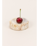 PIE193_3.jpg