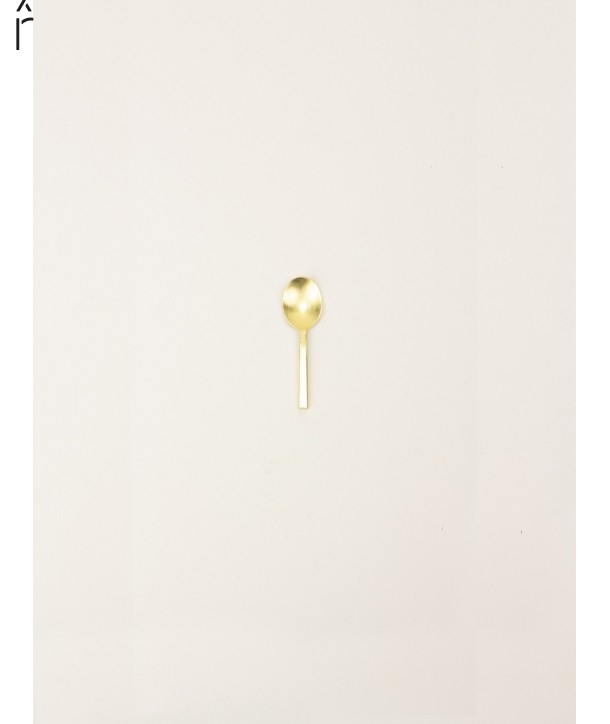 Brass Rambutan spice spoon