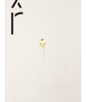 Brass Rambutan spice spoon