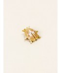 Broche Coccinelle en corne blonde