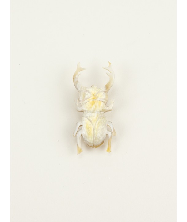 Broche Coleoptere en corne blonde