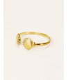 Shell Bracelet in brass with gold plated