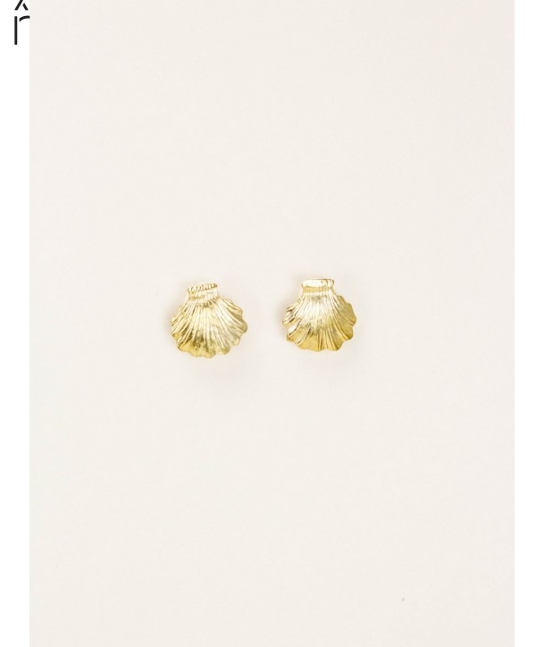 Shell earrings in brass with ear posts