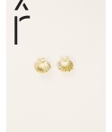 Shell earrings in brass with ear posts