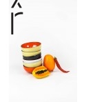 Set of 6 bowl lacquered in various colors