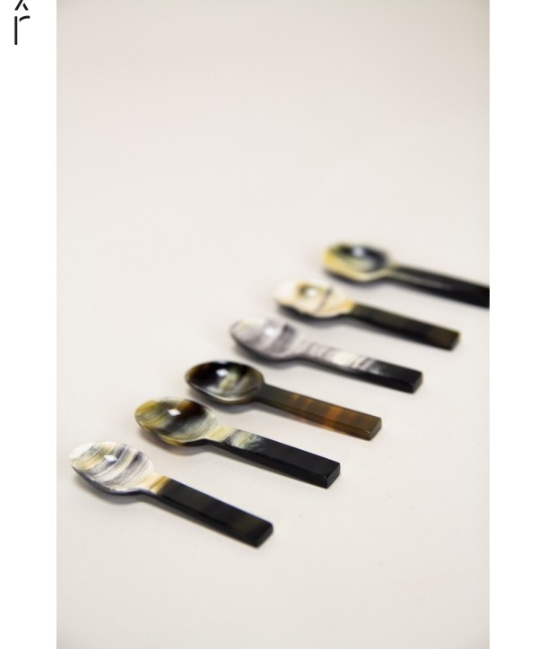 Set of 6 African black horn caviar spoon