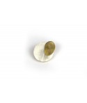 Broche ronde en corne et laiton