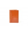 Passport case in orange ostrich and cow leather
