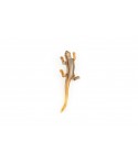 Broche lézard en corne blonde